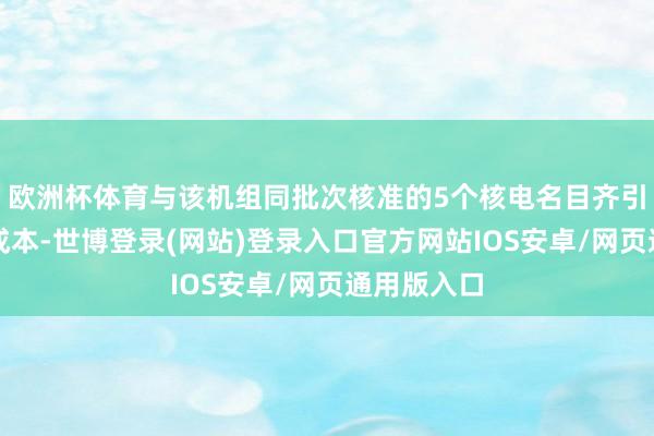 欧洲杯体育与该机组同批次核准的5个核电名目齐引入了民间成本-世博登录(网站)登录入口官方网站IOS安卓/网页通用版入口