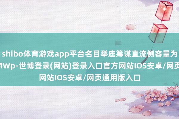 shibo体育游戏app平台名目举座筹谋直流侧容量为29.99994MWp-世博登录(网站)登录入口官方网站IOS安卓/网页通用版入口