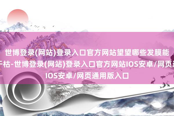 世博登录(网站)登录入口官方网站望望哪些发膜能有用回击干枯-世博登录(网站)登录入口官方网站IOS安卓/网页通用版入口
