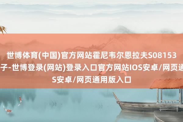世博体育(中国)官方网站霍尼韦尔恩拉夫S0815344测量浮子-世博登录(网站)登录入口官方网站IOS安卓/网页通用版入口