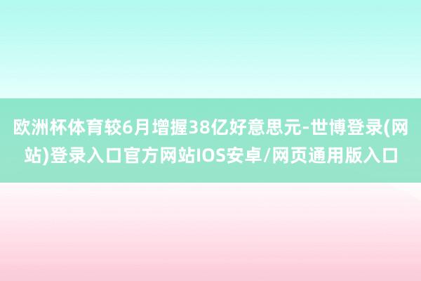欧洲杯体育较6月增握38亿好意思元-世博登录(网站)登录入口官方网站IOS安卓/网页通用版入口