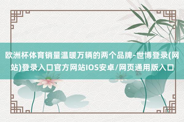 欧洲杯体育销量温暖万辆的两个品牌-世博登录(网站)登录入口官方网站IOS安卓/网页通用版入口