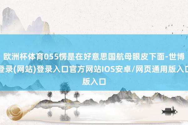 欧洲杯体育055愣是在好意思国航母眼皮下面-世博登录(网站)登录入口官方网站IOS安卓/网页通用版入口